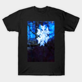 snowflake in blue 2 T-Shirt